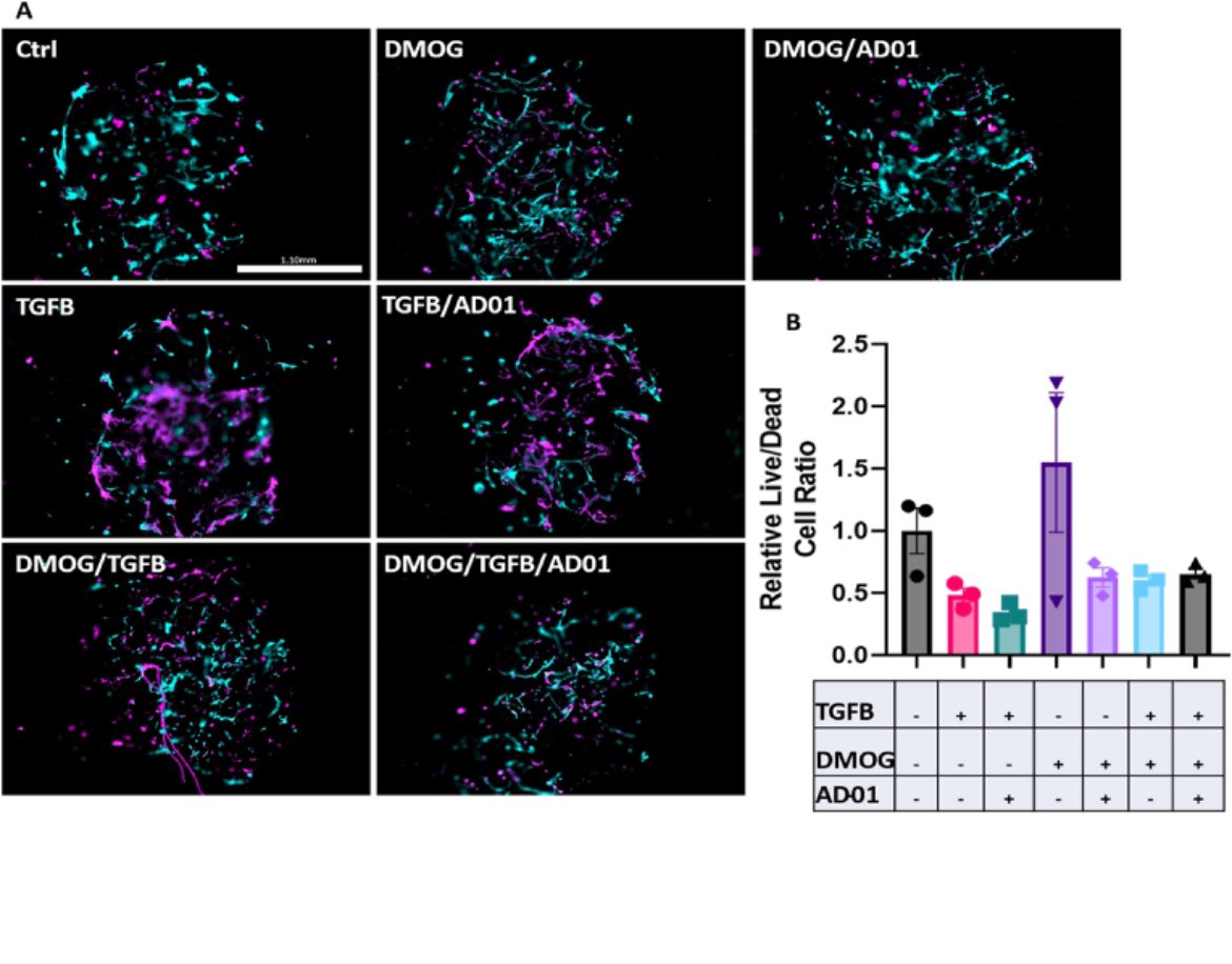 A/Prof Lana McClements (@mcclementslana) on Twitter photo 📣 Hot of the press - our paper on new mechanism #FKBPL and 3D #bioprinted model, relevant to cardiac fibrosis #CVD
doi.org/10.1016/j.bpri…
5th and last paper for Michael Chhor from his PhD thesis 💫
<a href="/DrKrizM/">Kristine McGrath</a>
<a href="/TracyRobsonMCT/">Tracy Robson</a>
<a href="/UTS_Science/">UTS Science</a>
<a href="/InventiaLifeSci/">Inventia Life Science</a>
<a href="/heartfoundation/">Heart Foundation</a> 📣 Hot of the press - our paper on new mechanism #FKBPL and 3D #bioprinted model, relevant to cardiac fibrosis #CVD
doi.org/10.1016/j.bpri…
5th and last paper for Michael Chhor from his PhD thesis 💫
<a href="/DrKrizM/">Kristine McGrath</a>
<a href="/TracyRobsonMCT/">Tracy Robson</a>
<a href="/UTS_Science/">UTS Science</a>
<a href="/InventiaLifeSci/">Inventia Life Science</a>
<a href="/heartfoundation/">Heart Foundation</a>