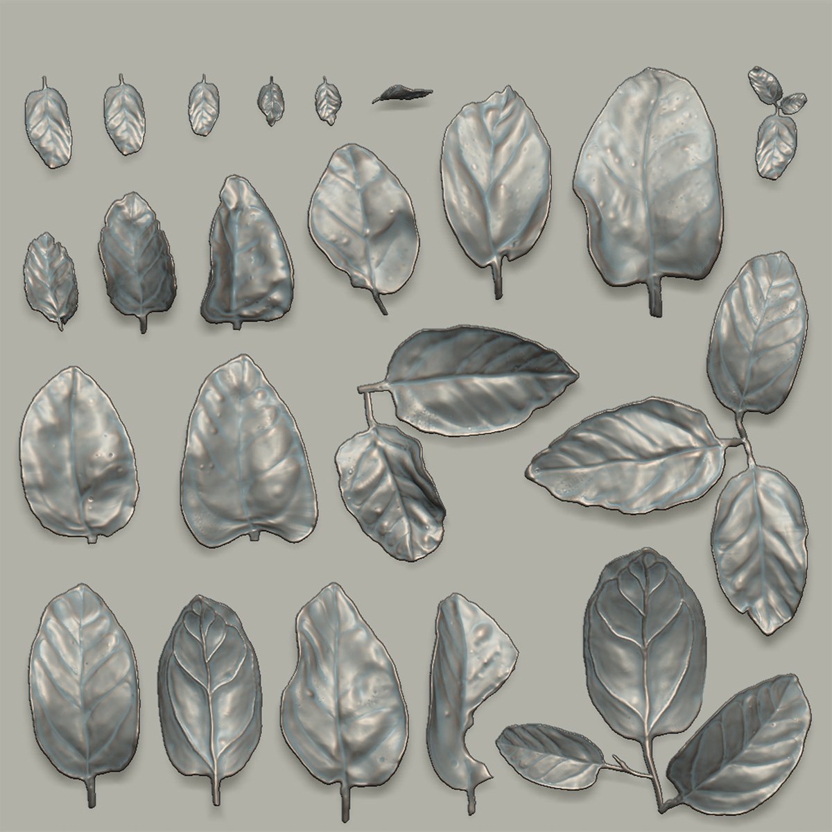 atkaygee's tweet image. A return to foliage with some Creeping Fig leaves 🍃