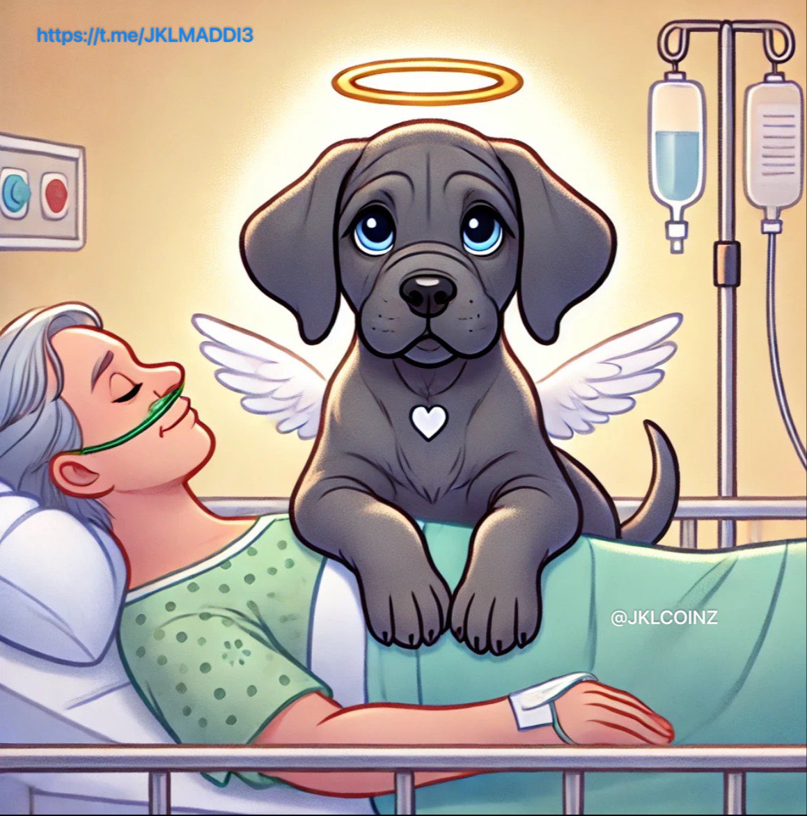 jklcoinz's tweet photo. For Maddie and for our Dev. $JKLM - JKL MADDIE https://t.co/OHdPBrf2pZ