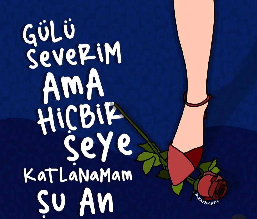 Benim tahammül seviyesi.