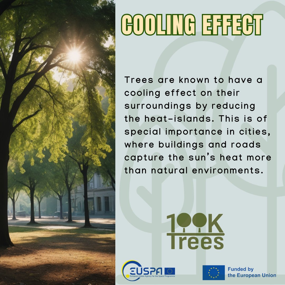100KTREES (@100ktrees_eu) on Twitter photo 🌳Did you know #trees help cool cities?
🌞They reduce the #HeatIsland effect through shading, transpiration, and aerodynamic roughness.
#Shading is key, especially with larger trees. Planting arrangements & wind circulation matter too! 🌬️
#Cooling #Cities
<a href="/EU4Space/">🇪🇺 EUSPA - EU Agency for the Space Programme</a> 🌳Did you know #trees help cool cities?
🌞They reduce the #HeatIsland effect through shading, transpiration, and aerodynamic roughness.
#Shading is key, especially with larger trees. Planting arrangements & wind circulation matter too! 🌬️
#Cooling #Cities
<a href="/EU4Space/">🇪🇺 EUSPA - EU Agency for the Space Programme</a>