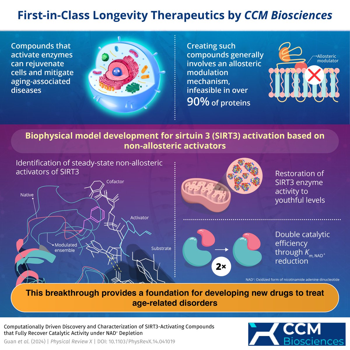 ccm_bio's tweet photo. Researchers from CCM Biosciences, Inc., discover first-in-class non-allosteric activators of the previously undruggable enzyme Sirtuin-3. 

Explore the landmark work towards cell rejuvenation here: https://t.co/mQO0jrUhzg

#CCMBiosciences #CellRejuvenation #Sirtuin #EnzymeActivation #AllostericModulation #DrugDiscovery