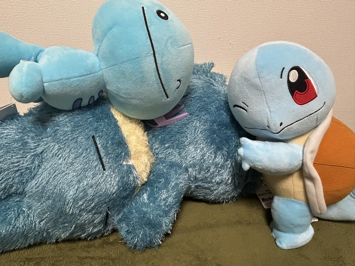 最近の可愛こたち