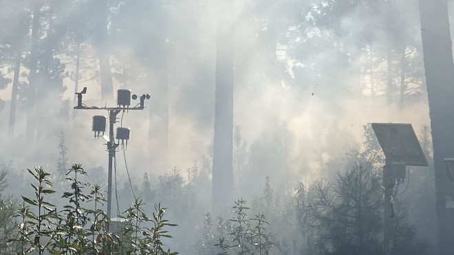 Avenç significatiu en la detecció primerenca d'incendis forestals

Les primeres proves amb sensors avançats del projecte europeu Interreg Sudoe SenForFire, amb la participació d’AR+I, demostren alta sensibilitat i rapidesa de resposta davant del foc

ℹ️ ow.ly/vyxU50UTSTc