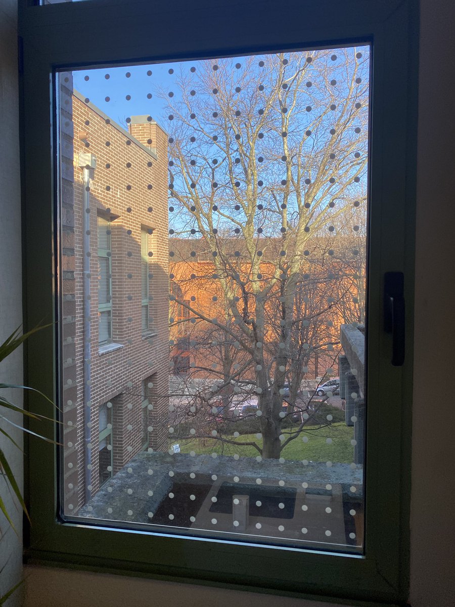 Biodiversidad Urbana 🐦‍⬛ | Las colisiones en cristaleras son unos de los problemas a los que se enfrentan las aves en los espacios urbanos.

En <a href="/unican/">Universidad de Cantabria</a> seguimos implementando medidas para evitarlas. 

Más información 👉🏻 seo.org/cristales-tram…