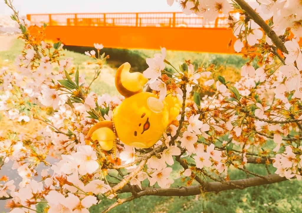 こちら福袋です㊗️🎉🎊
なぜかって？ 明日が2月6日だからです。

●価格 2600円 （送料込）
●あたるってぃー使用 リポストで参加OK
●到着ポスト出来る方
●何が来ても大丈夫な方
●期限2月6日
●らいちゅらいちゅ！！！！