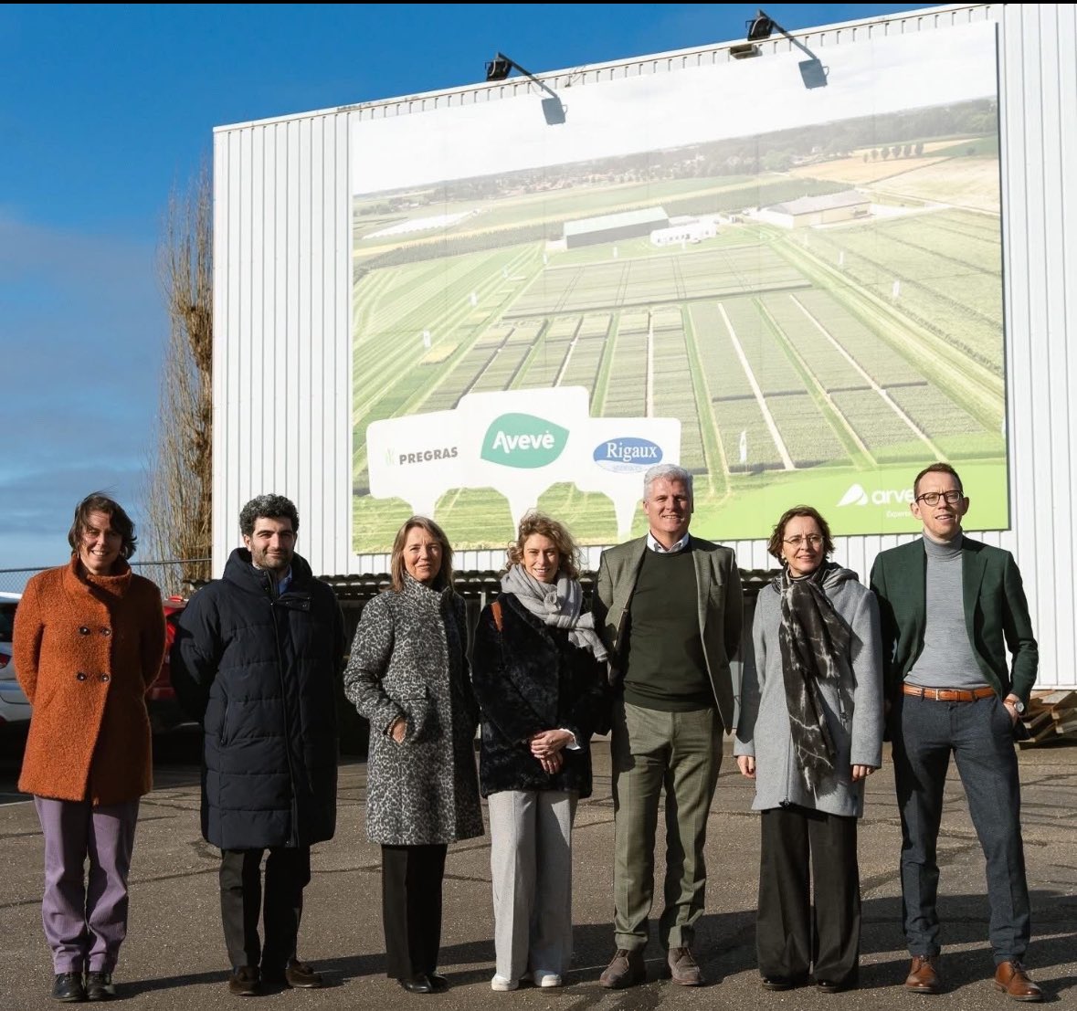 brechje schwachofer tweet media