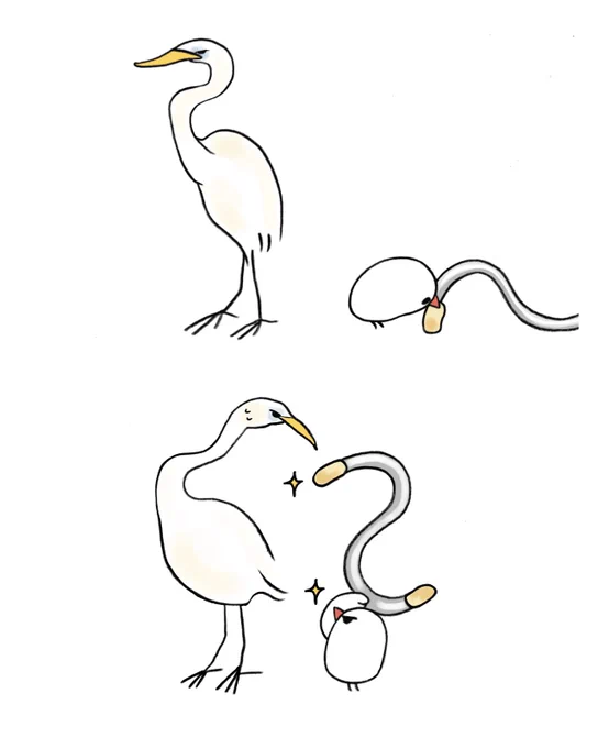 ダイサギに憧れるぶんちょ 