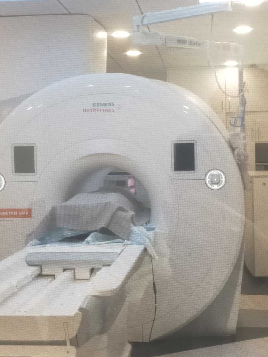 🚀A pioneering step for political science!

This week I kicked-off my fMRI experiment on terrorism and state surveillance. Using a neuroscience technique, this research explores how the brain responds to security threats, offering new lens on political behaviour 

Excited to push