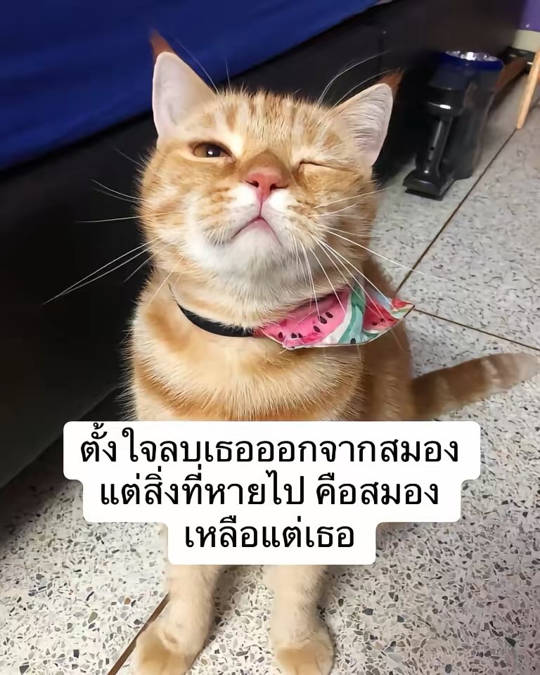 ครอบครัวไข่ (@egg_family4) on Twitter photo 