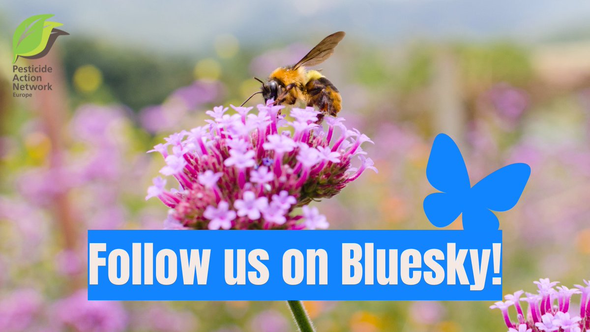 PAN Europe tweet media