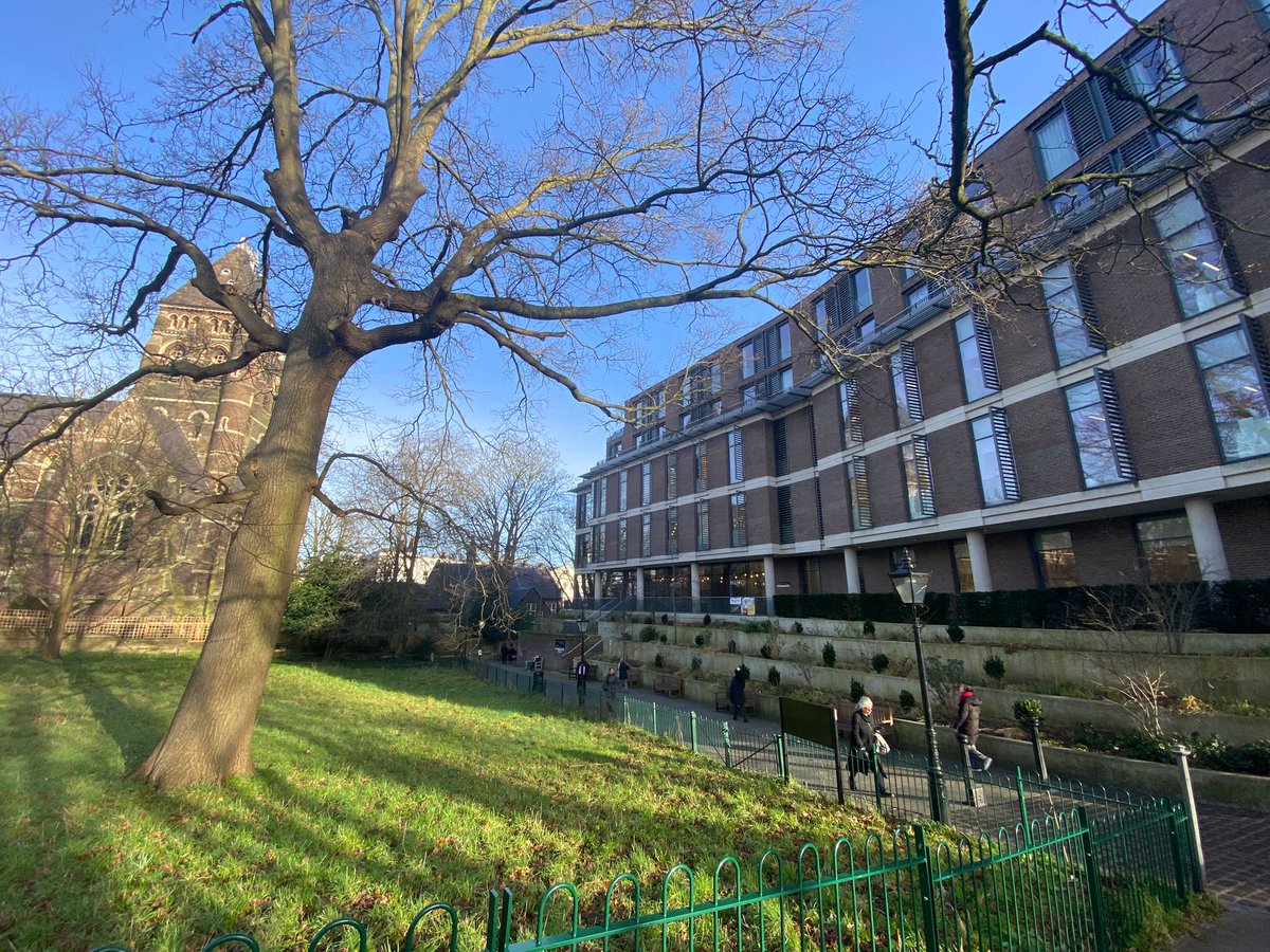 Alessandra Ferrelli tweet media