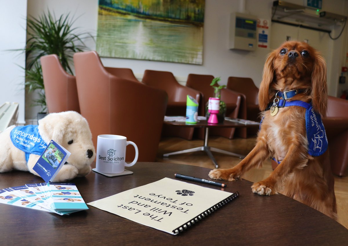 Support Dogs (@supportdogsuk) on Twitter photo It's fantastic to have Best Solicitors' supporting us as part of the National Free Wills Network <a href="/NFWNetwork/">National Free Wills Network</a>
Best Solicitors will supply a free will-writing service for those who agree to leave a legacy to Support Dogs.
Read more: shorturl.at/P2Ygc It's fantastic to have Best Solicitors' supporting us as part of the National Free Wills Network <a href="/NFWNetwork/">National Free Wills Network</a>
Best Solicitors will supply a free will-writing service for those who agree to leave a legacy to Support Dogs.
Read more: shorturl.at/P2Ygc