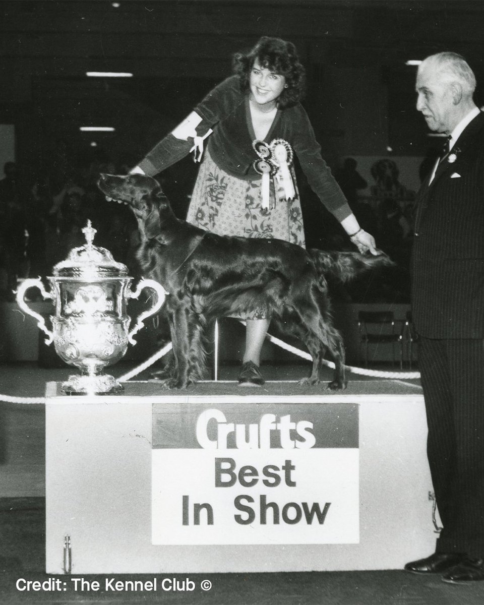 Crufts tweet media