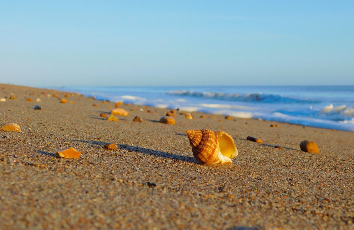 IanW1985's tweet image. #seashells and sunshine at #suttononsea this morning #loveukweather