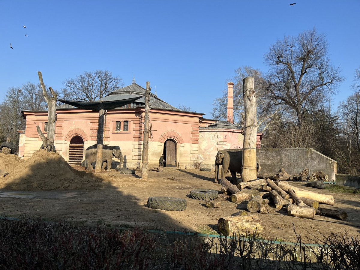 mactom 🌶 tweet media