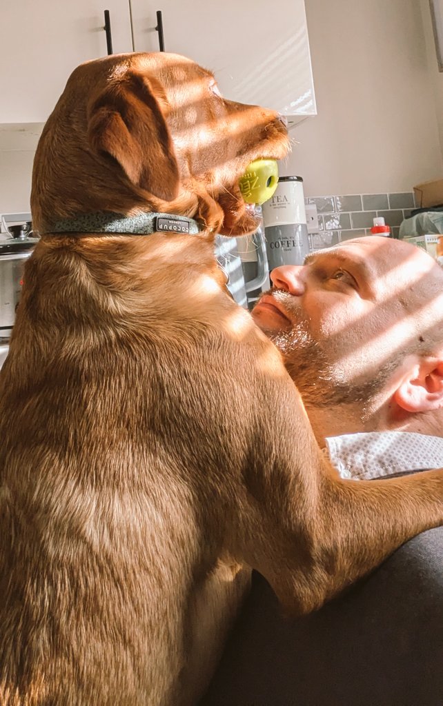 Lee Hunt tweet media