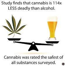 Norstackk's tweet photo. :>}_~#WakeNBake #StonerFam #StonerCircle #StonerNation #IAmCannabis #WeAreCannabis #FuckCancer #StayWoke & ALL #STONERS ~HappyHumpDazed~ https://t.co/Yd4e4zihzp