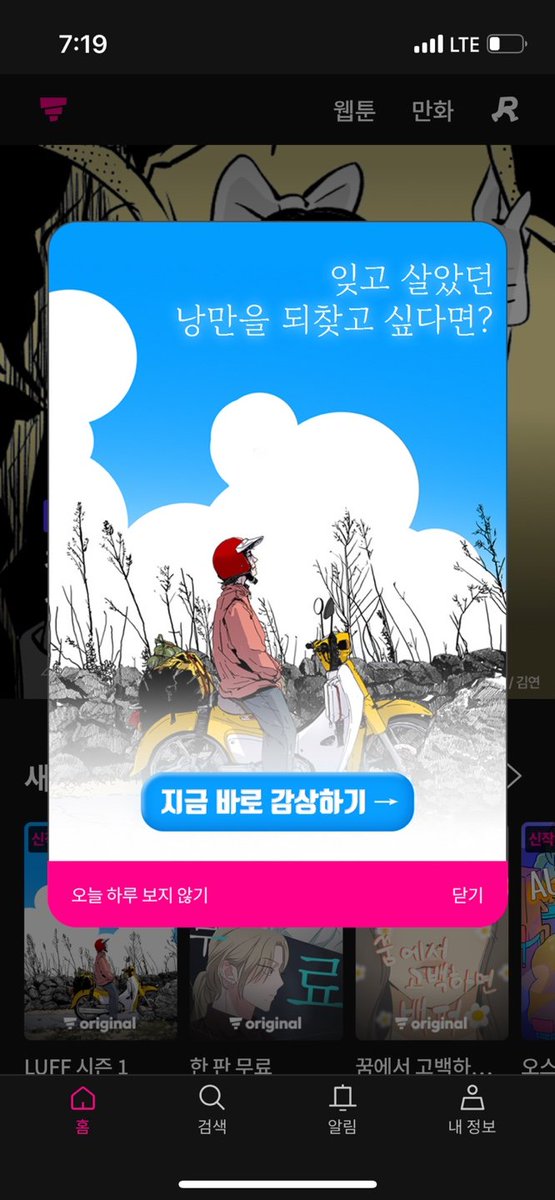 섬지우 tweet media