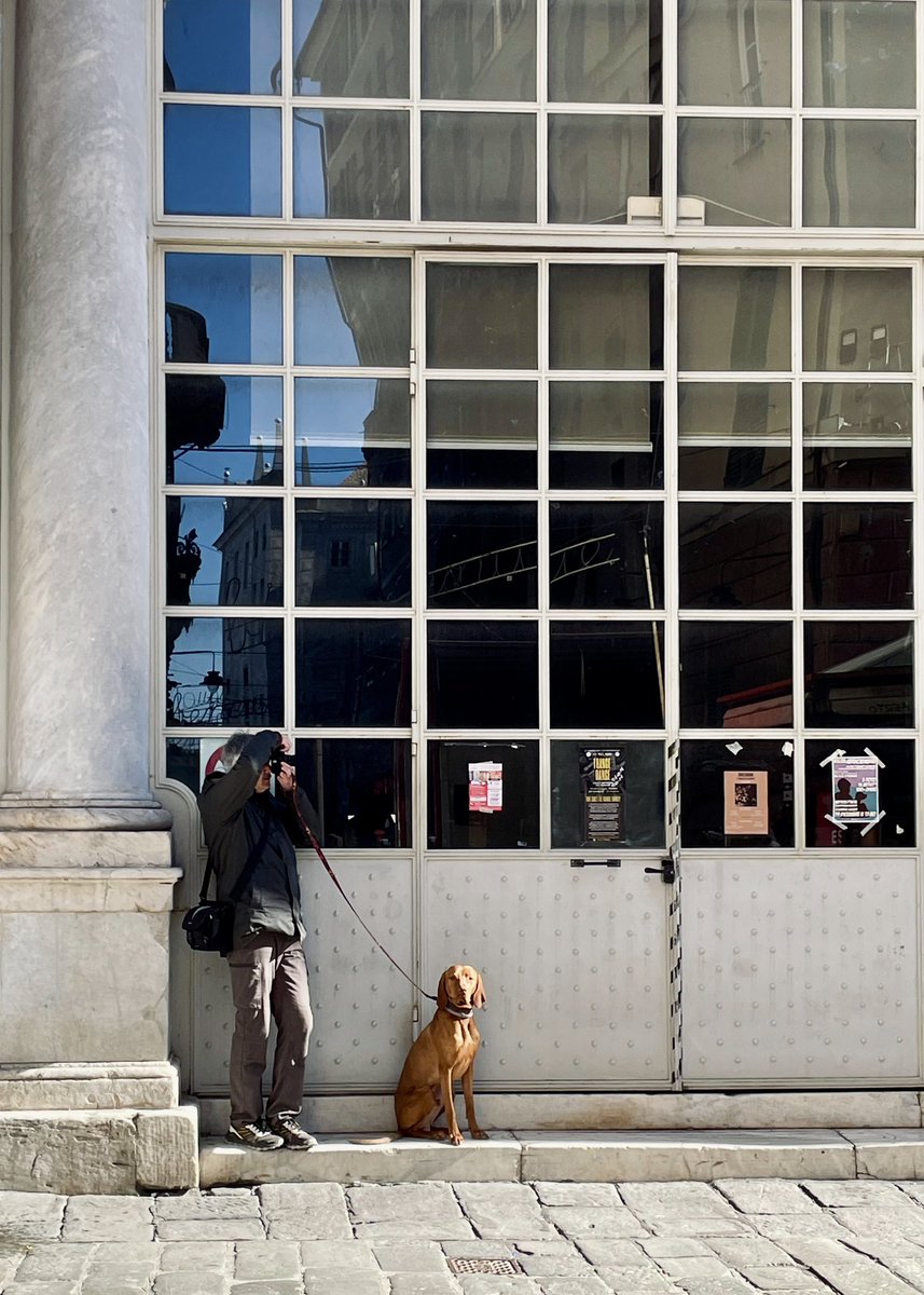 georgexynos's tweet photo. Ops ! I thought I saw Henri in the #CaruggiDistrict | #Genova #Photography https://t.co/E57PZriEjE
