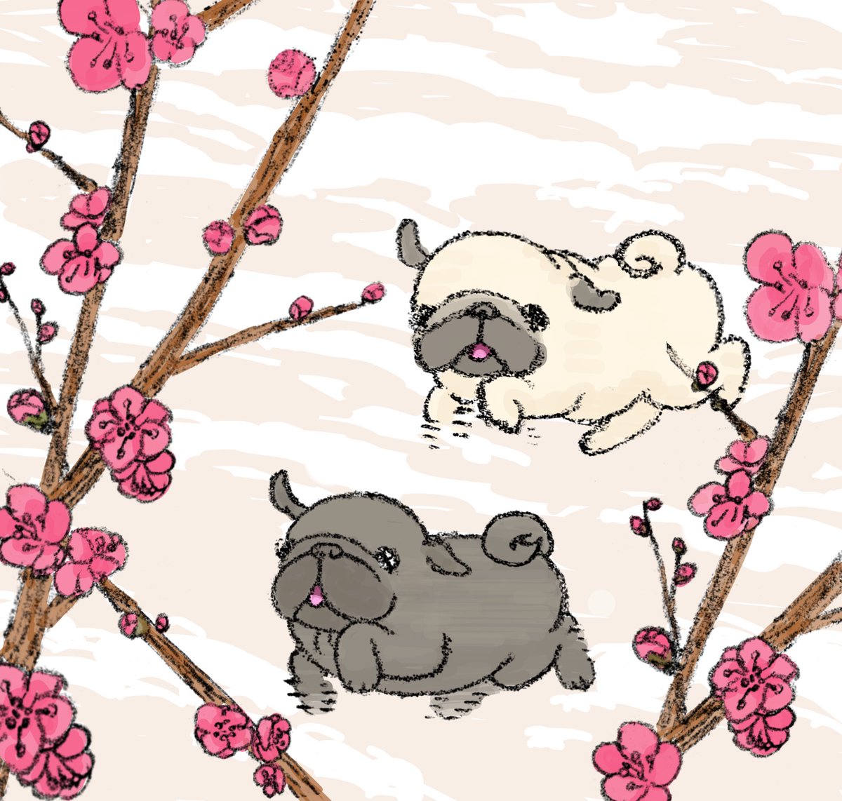 ハナちゃん (@89no87chan) / Posts / X