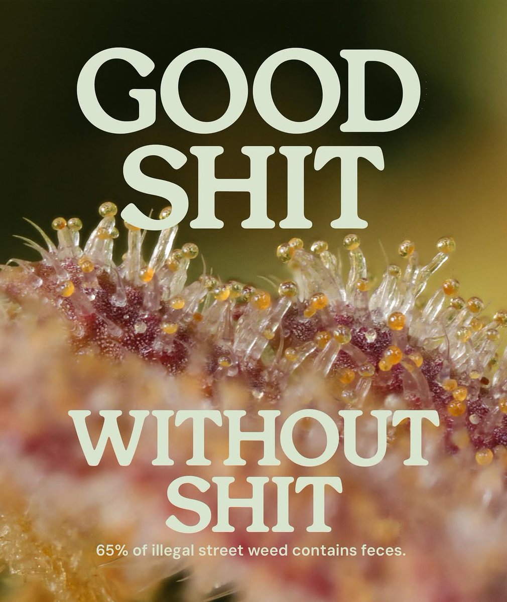 royalqueenseeds's tweet photo. Germany, we're here to make some noise! 🇩🇪 We are hitting the streets with a bold message: grow your own shit and take control! 🌱 

From Berlin to Hamburg and Cologne, our ads are turning heads, calling out the 💩 in illegal weed, and showing Germany a better way. Let's grow!🚀 https://t.co/CF0Jjgd0Ml