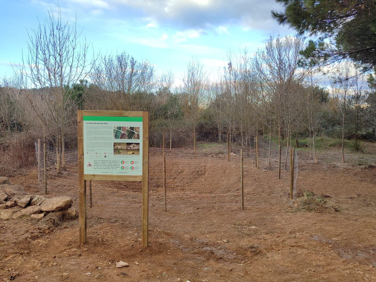 L’Ajuntament ha portat a terme treballs de restauració a la històrica bassa del Pont de Riart, un espai que s’havia degradat amb el temps, amb l’objectiu de recuperar un hàbitat aquàtic essencial per preservar espècies autòctones.
➡️ Us ho expliquem a: celra.cat/wp/blog/2025/0…