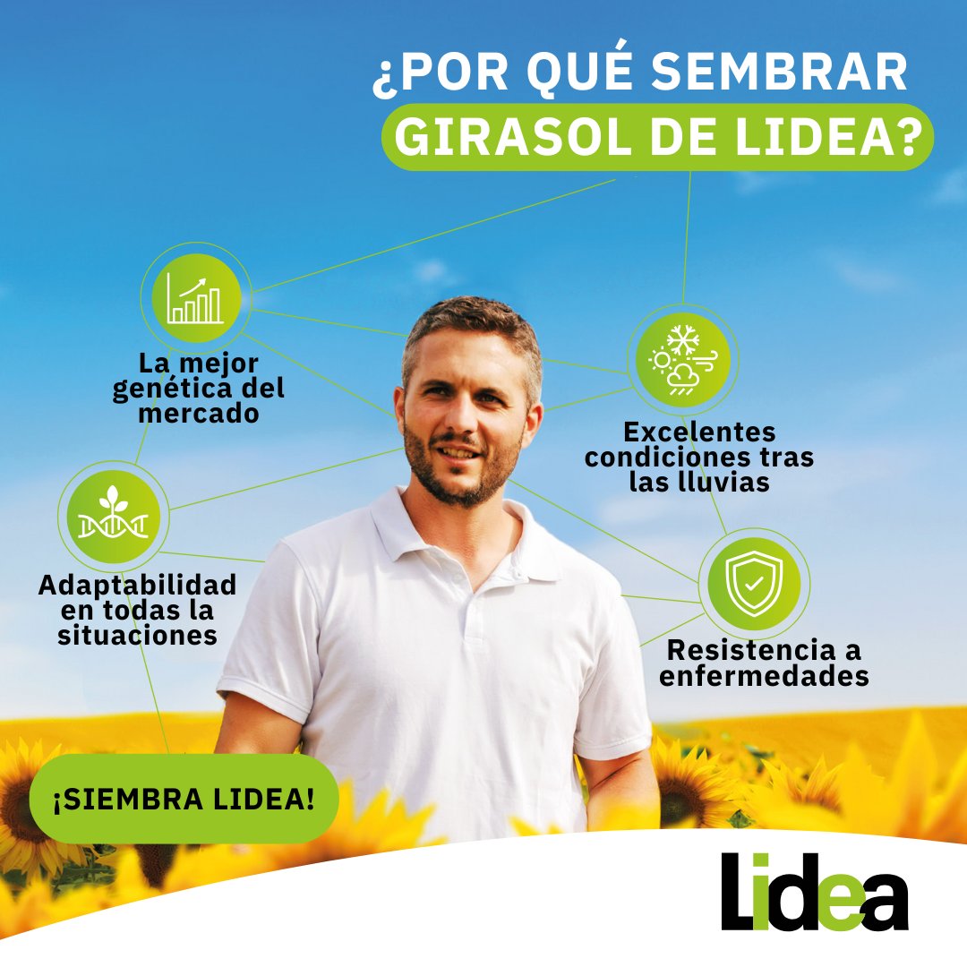 Lidea Seeds España tweet media