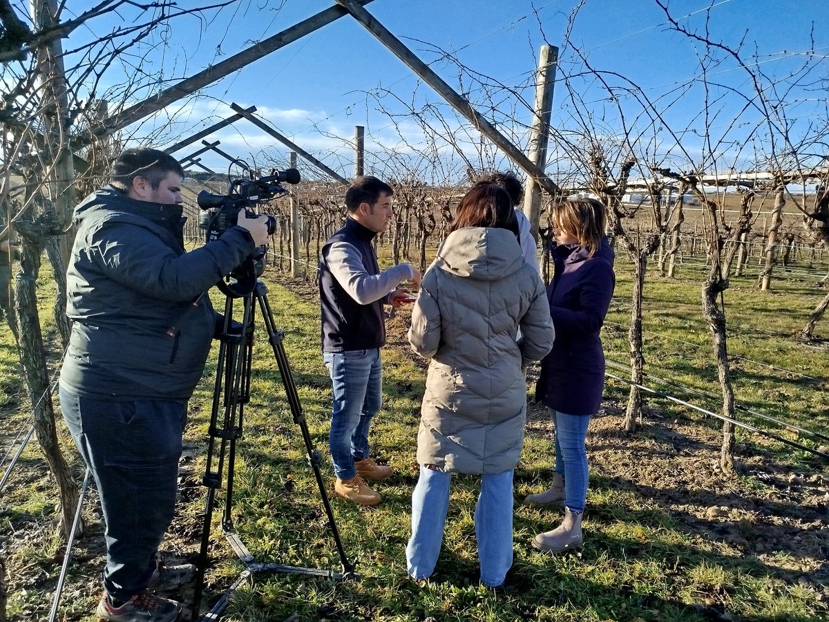 Temperotv's tweet photo. Este sábado, 8 de febrero, conoceremos cómo se trabaja la teledetección aplicada a #viña y cuáles son los beneficios que está aportando a la #viticultura. A las 14:55h en @aragontv
@SONEAima @BodegaSommos @BodegaEnate @DOSomontano https://t.co/woRJ855SRJ