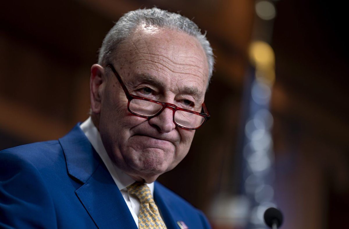 hammer432's tweet image. Chuck Schumer's net worth is $81 million.
He earned $13 million in 2024 according to Wealth Tax.
Where did it come from? Please comment👇