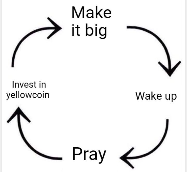 YellowCoinOfSOL's tweet photo. GM - this is the cycle of life. 🤌🟡

The G-rated version… 👀 https://t.co/bto7gBMaMo
