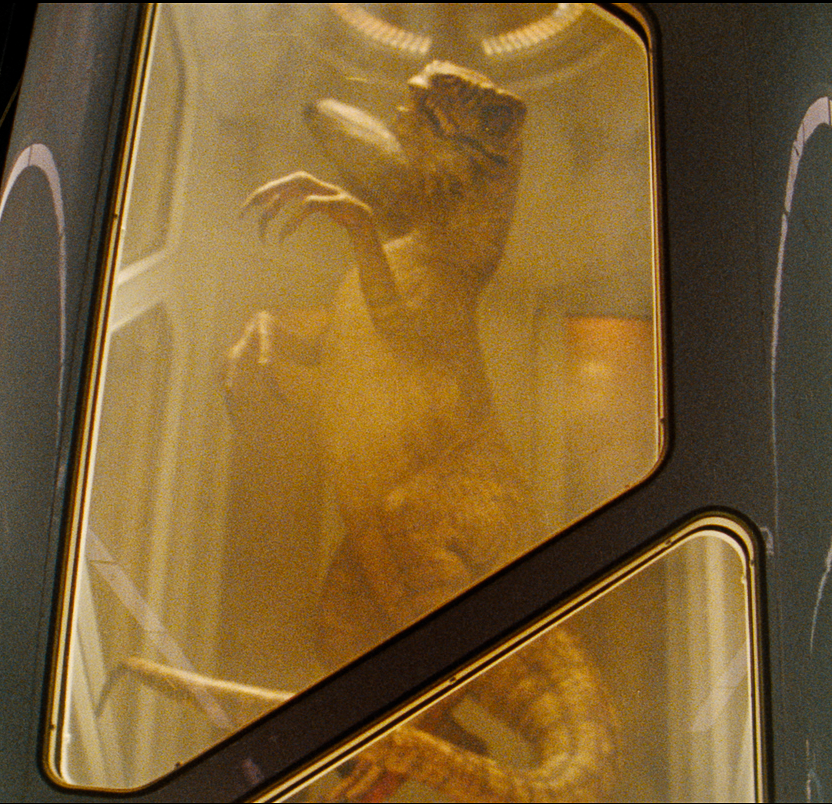 ChrisLikesDinos's tweet photo. Two-headed Velociraptor in Jurassic World Rebirth, which seems to be the male Lowland subspecies seen in The Lost World https://t.co/aaMhlUgILz