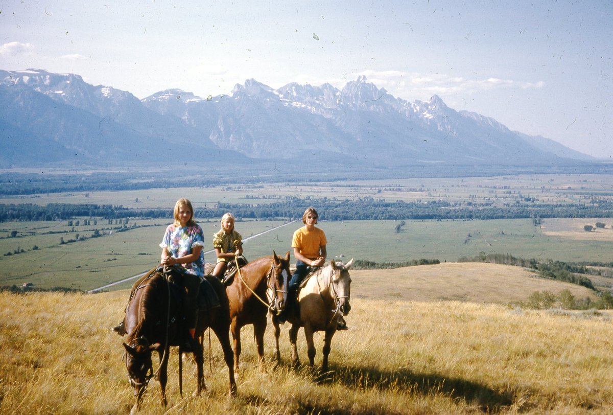 35mmfilmslides tweet media