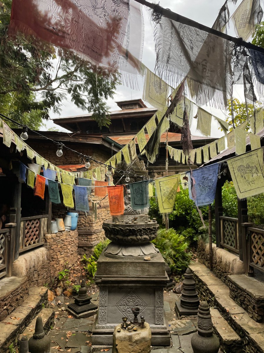 Lou Mongello tweet media