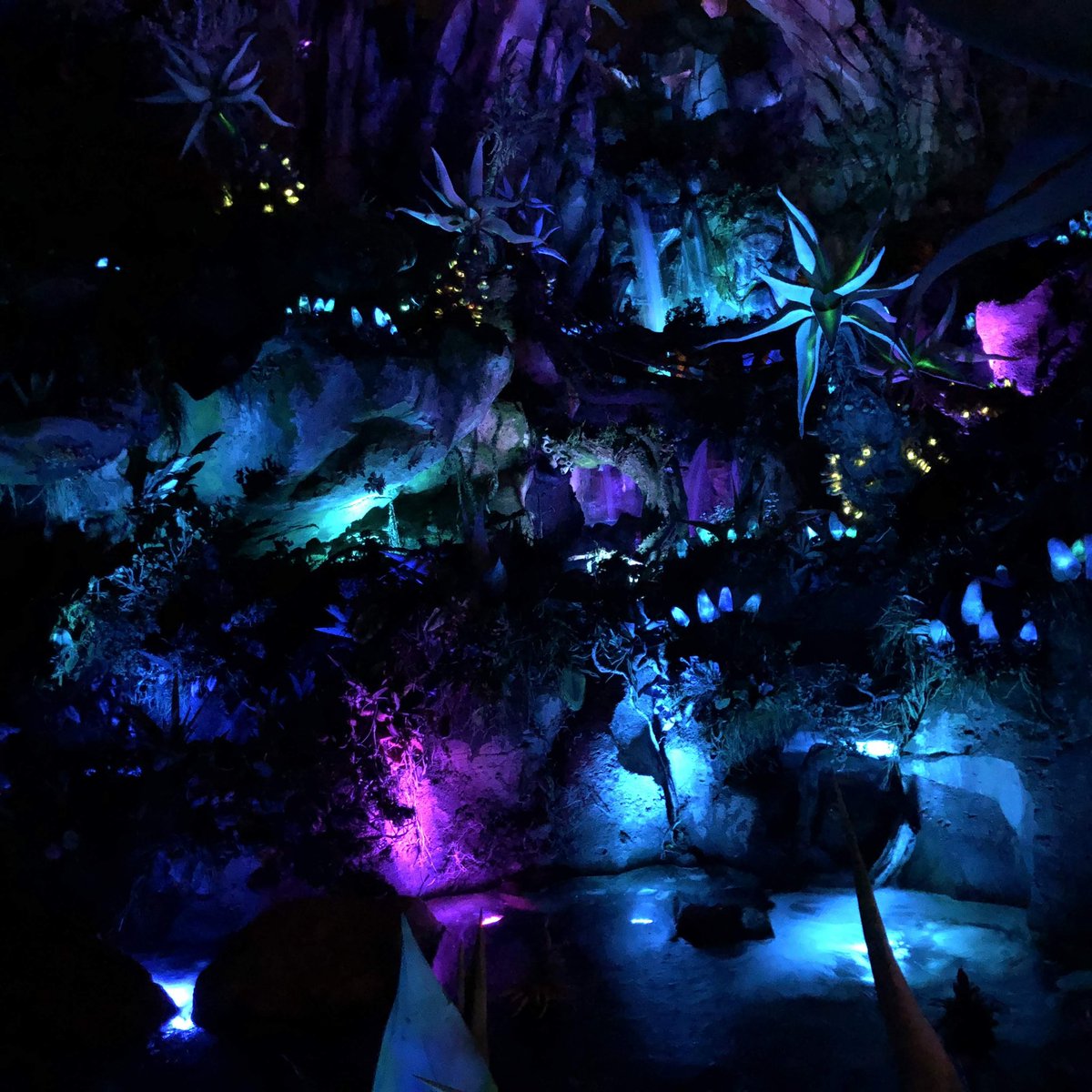 🙋🏻‍♀️ What is your favorite piece of music or area music in Disney’s Animal Kingdom? 🎵
⠀
WDWRadio.com/817 - The Music of DAK: An audio journey exploring how music enhances the experience, live performances, and even a look ahead at the upcoming Tropical Americas expansion.