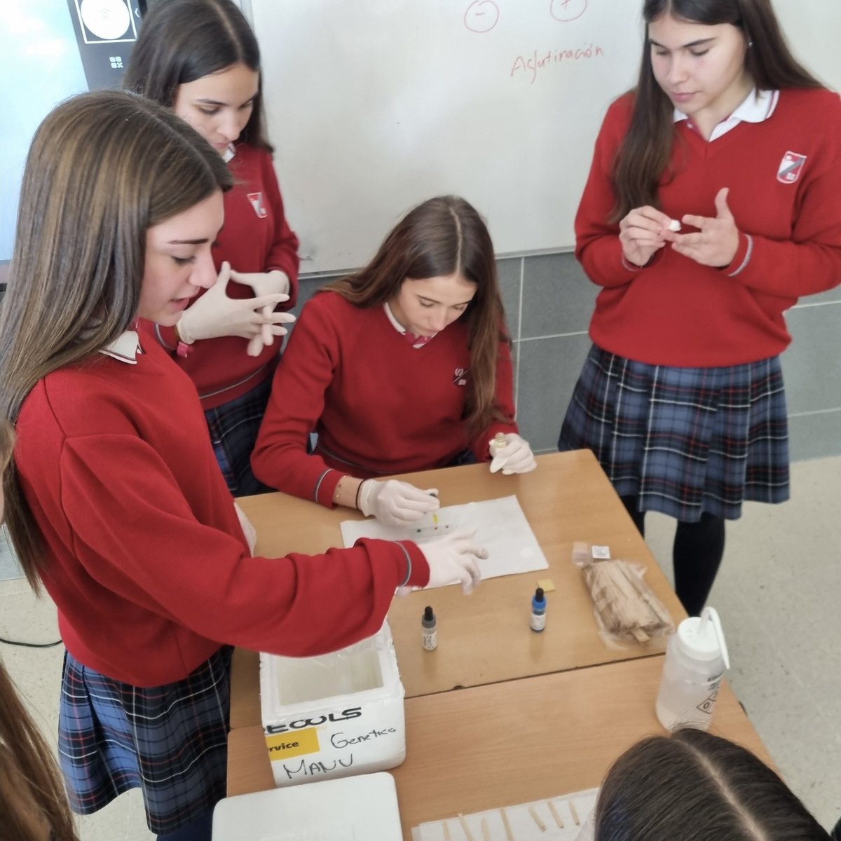 C_Penalvento's tweet photo. En la Semana de la Orientación, el Departamento de Ciencias ha organizado un taller de Biomedicina en colaboración con la Universidad Europea de Madrid. Nuestros alumnos han podido estudiar los grupos sanguíneos y ver sus células al microscopio en una pantalla digital 🔬🧫! https://t.co/rC5QewqCMO