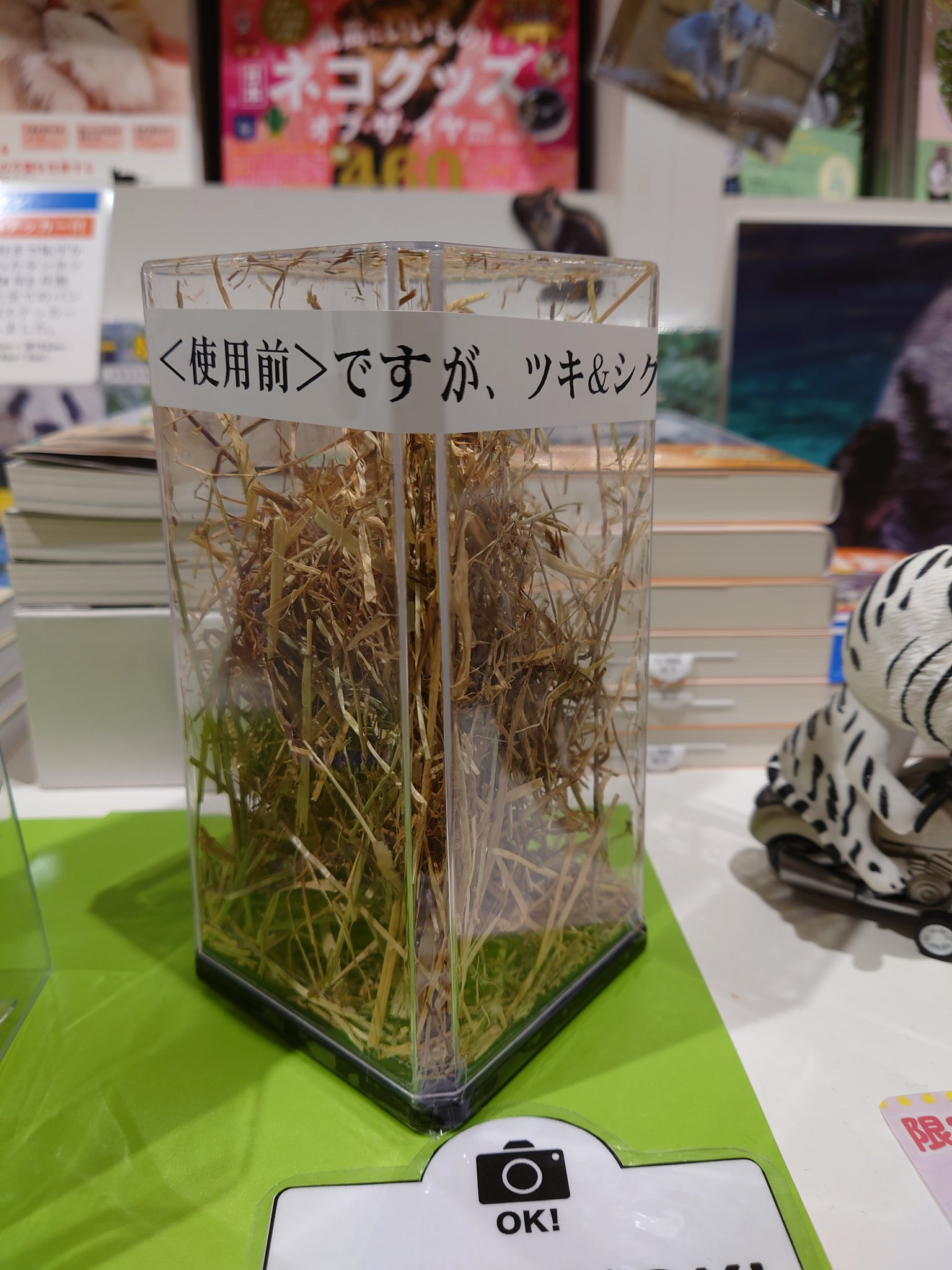 三省堂書店名古屋本店 on X: 三省堂書店名古屋本店 on X: