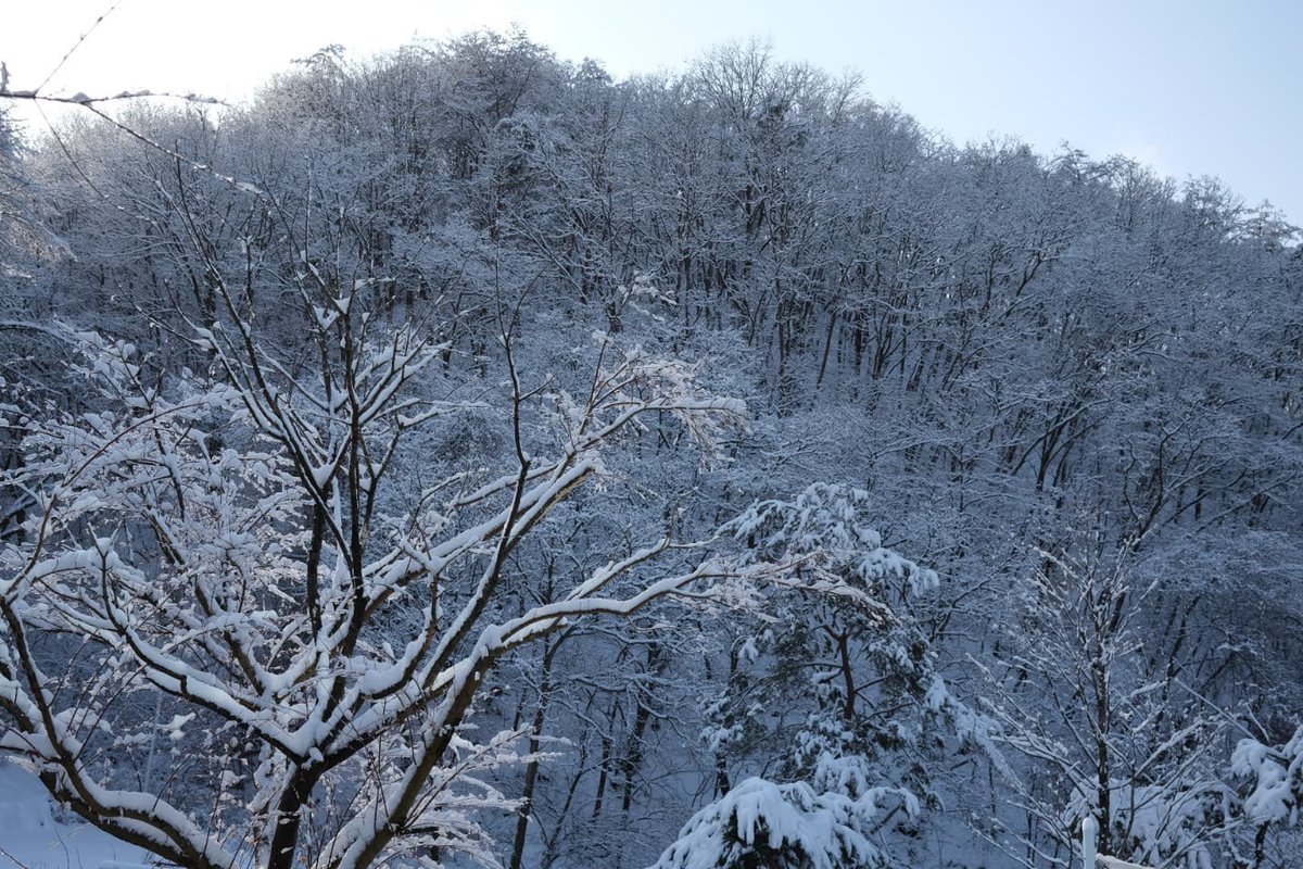 dafu_gyu's tweet photo. 小圭配的歌曲歌詞我覺得很感人⋯ 雖然翻得可能不好，但希望大家能自行體會一下🫂

「我想拋下很多東西
包含你的愛與恨
這樣等我們再相見的時候
我就能完整的擁抱你

埋藏在思念的情感下的
後悔 都在風中消逝
我浮著的心無法讓你獨自一人
默默走在白色的路上的我
我想擁抱你」 https://t.co/HV5SUXU9yS