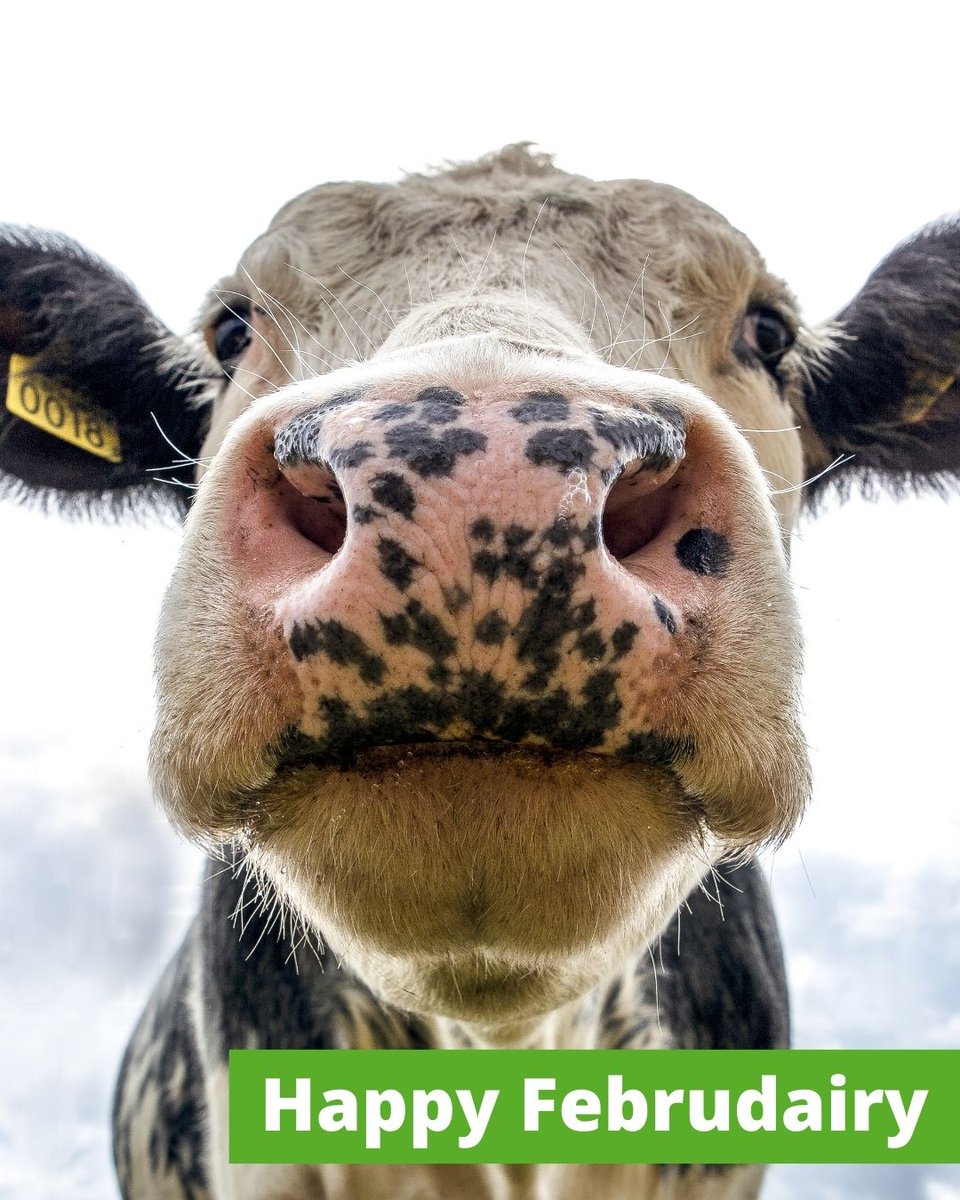 tarnfarmvets tweet media