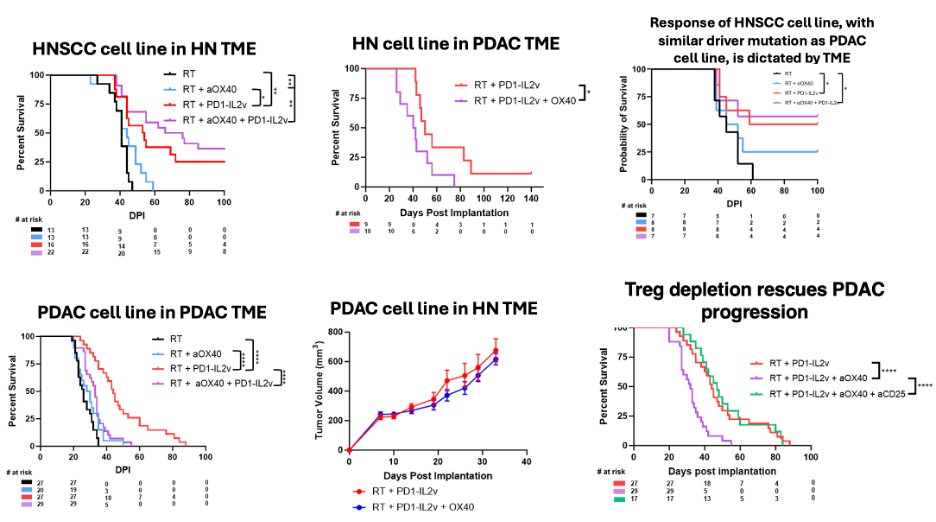 Sana Karam, MD, PhD (@karamlab) on Twitter photo NEW from #KaramLab #Jake Gadwa @WUSTLDBBS <a href="/WUSTLImmuno/">WUSTL Immunology</a>
TME dictates response to RT-IO:
jitc.bmj.com/content/jitc/1…
Tumor response vs progression using identical radiation-immunotherapy regimen is independent of cancer cell type but rather mediated by the TME & Tregs accumulation NEW from #KaramLab #Jake Gadwa @WUSTLDBBS <a href="/WUSTLImmuno/">WUSTL Immunology</a>
TME dictates response to RT-IO:
jitc.bmj.com/content/jitc/1…
Tumor response vs progression using identical radiation-immunotherapy regimen is independent of cancer cell type but rather mediated by the TME & Tregs accumulation