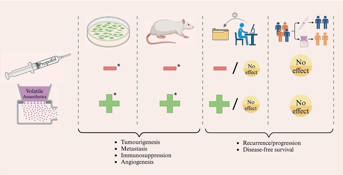Propofol vs inhalational anaesthesia and cancer-related outcomes

Preclinical investigation &amp; retrospective studies suggest propofol:
• inhibits tumourigenesis &amp; metastasis
• is not immunosuppressive
• blocks angiogenesis
• ⬇️ recurrence

BUT no large RCT supports this #AnSky