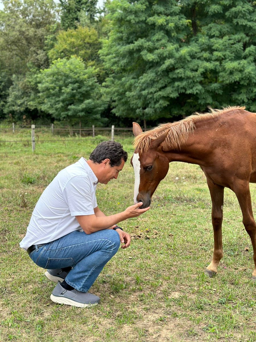 Young Vets Club tweet media