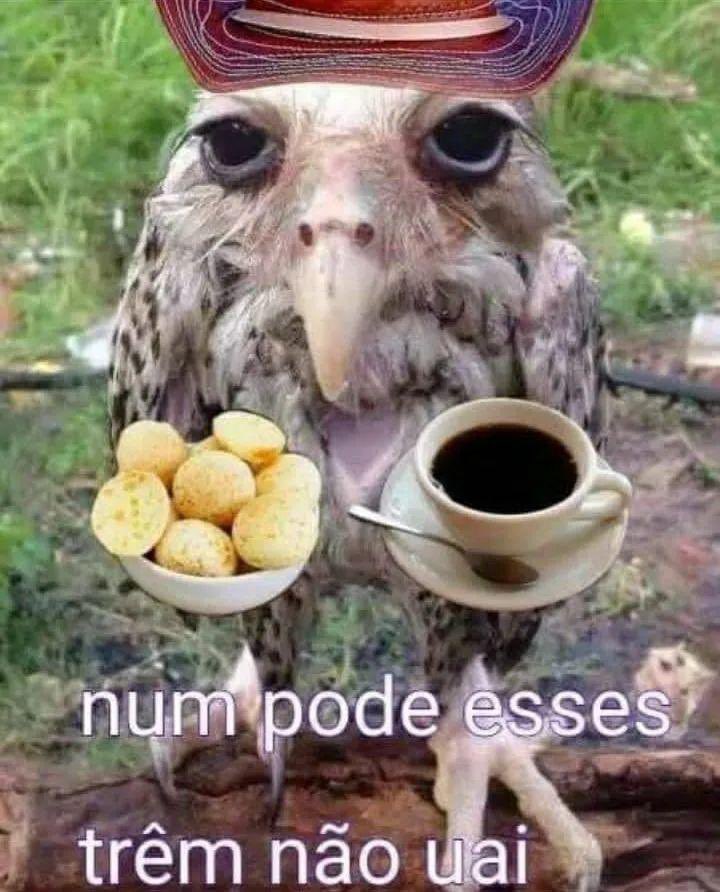*𝓳ulia (@jul01usp) on Twitter photo 