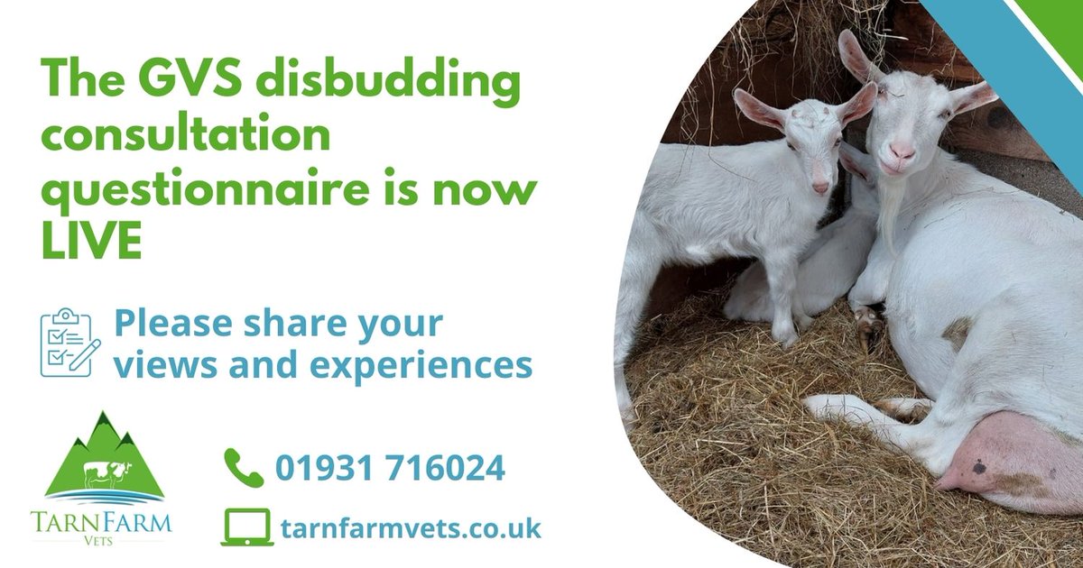 tarnfarmvets tweet media