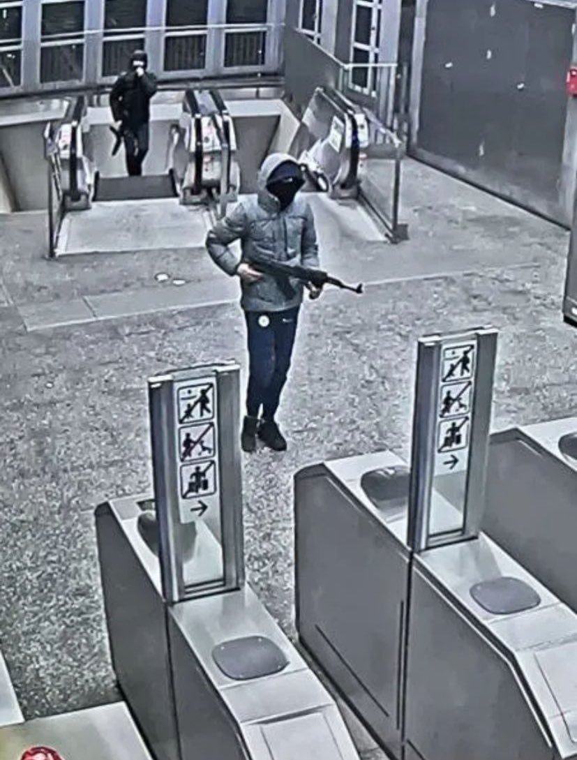 Dara 🇩🇪 tweet media