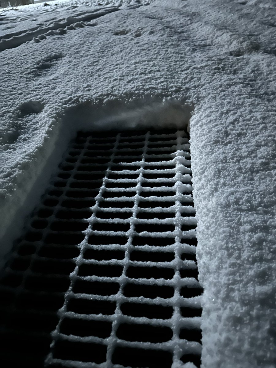 Ry_spr9n's tweet photo. 雪やばwww
足首位までは積もっとるぞwww https://t.co/IWDYsTuzqh