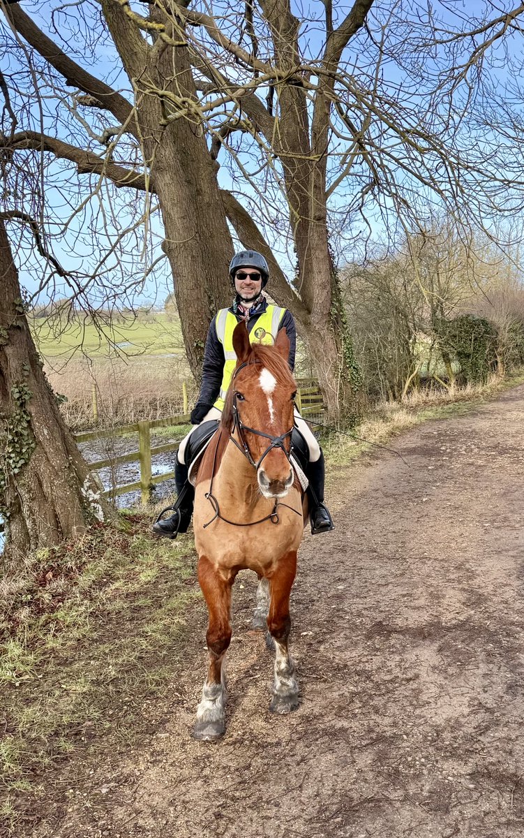 Michael Bronstein tweet media