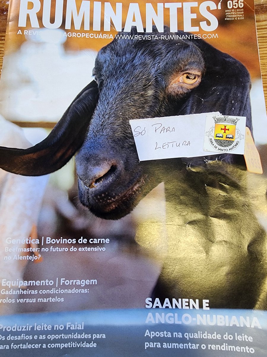 Feliz Aniversário <a href="/Cristiano/">Cristiano Ronaldo</a>