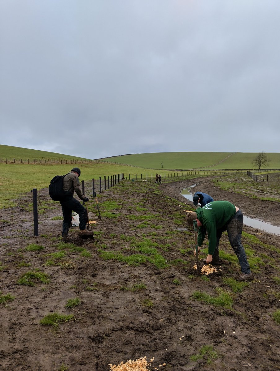 Ribble Rivers Trust tweet media
