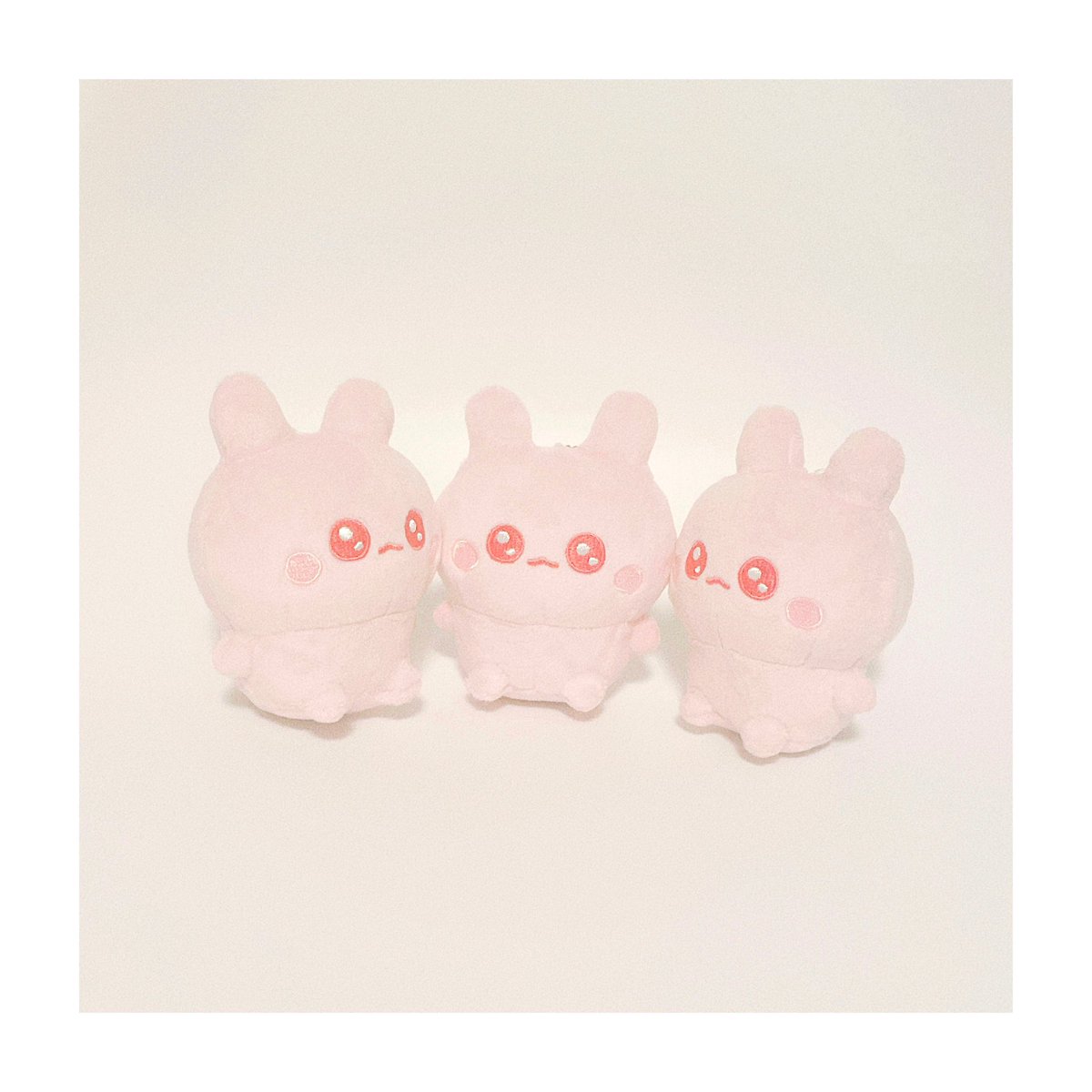 このあと20時より通販オープン⋆꙳ 今回ぬいぐるみはおひとり様1点まで